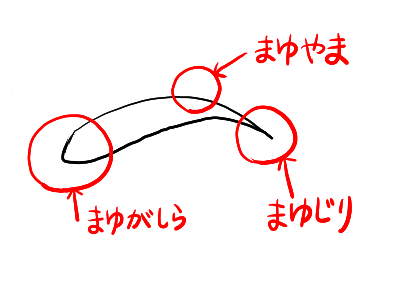 似顔絵のコツ・眉毛の観察02