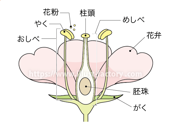 教材イラスト制作サンプル 理科 実験 イラスト制作会社アットのイラストレーターブログ