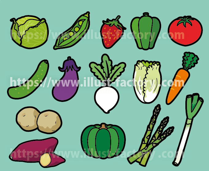 季節の野菜教材イラスト制作【幼児教育・知育】　野菜のイラスト　野菜　イラスト　野菜の種類　キャベツ　えんどう豆　いちご　ピーマン　きゅうり　なす　かぶ　白菜　にんじん　ジャガイモ　さつまいも　カボチャ　アスパラガス　ねぎ　イラスト
