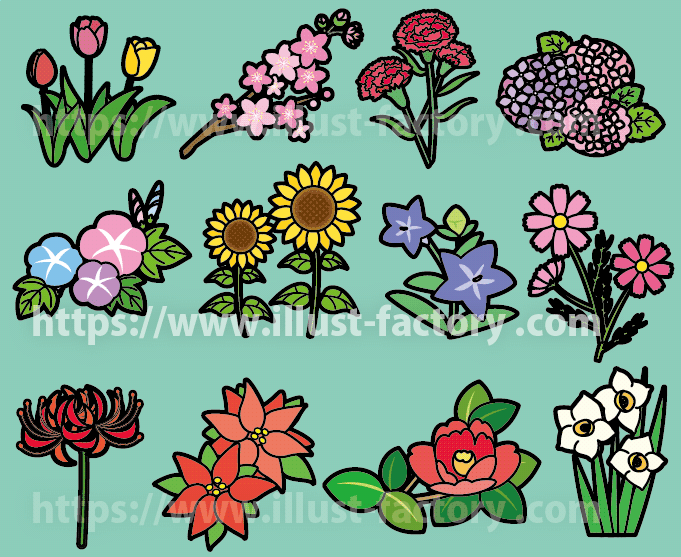 季節の花の教材イラスト制作【幼児教育・知育】　春夏秋冬イラスト　季節の花　花の種類　イラスト