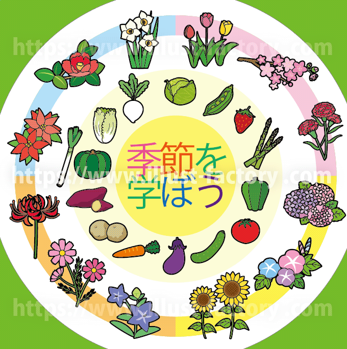 季節の学習教材イラスト制作【幼児教育・知育】　季節の花・植物・野菜のイラスト　季節カレンダーイラスト　知育教材　幼児学習　入園対策　幼稚園　お受験　お受験対策　春夏秋冬イラスト