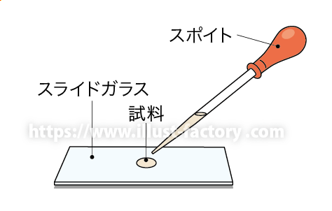 教材イラスト制作サンプル理科教科書・実験