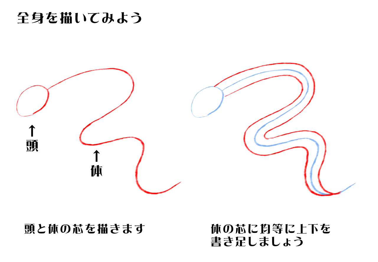 辰年の年賀状用イラストの制作について　初心者でも描ける龍のイラスト　HOW TO　全身を描くための考え方