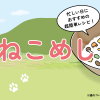 ねこめし　〜忙しい日におすすめの超簡単レシピ！〜