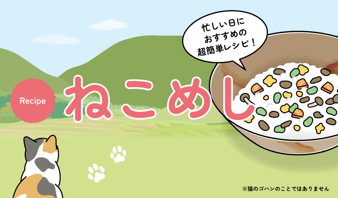 ねこめし　〜忙しい日におすすめの超簡単レシピ！〜