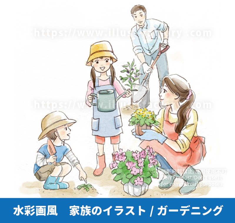 水彩画風 ガーデニングを楽しむ家族のイラスト制作例 家庭菜園を楽しむ親子のイラスト 水やりをする女の子、ブルーベーリーの木を植えるお父さん、植え替えをするお母さん 園芸イラスト