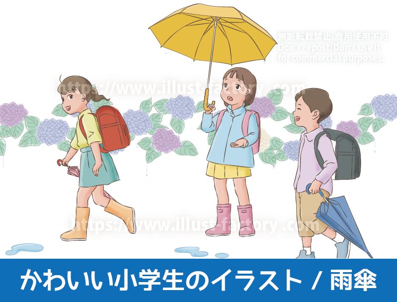 かわいい小学生・子供のイラスト　小学校　小学生　男の子　女の子　雨　紫陽花　雨傘　登下校　傘をさす子供　ランドセルを背負って雨傘をさす女の子　集団下校をする小学生