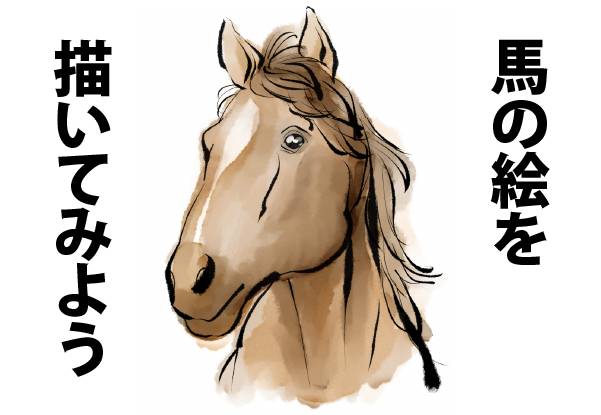 馬の絵の書き方図図解