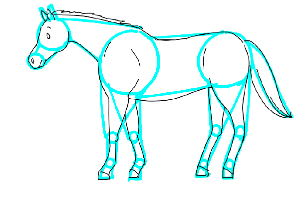 馬の絵の書き方図図解