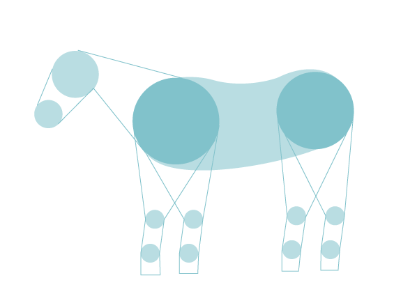 馬の絵の書き方図図解