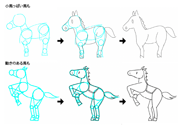 馬の絵の書き方図図解