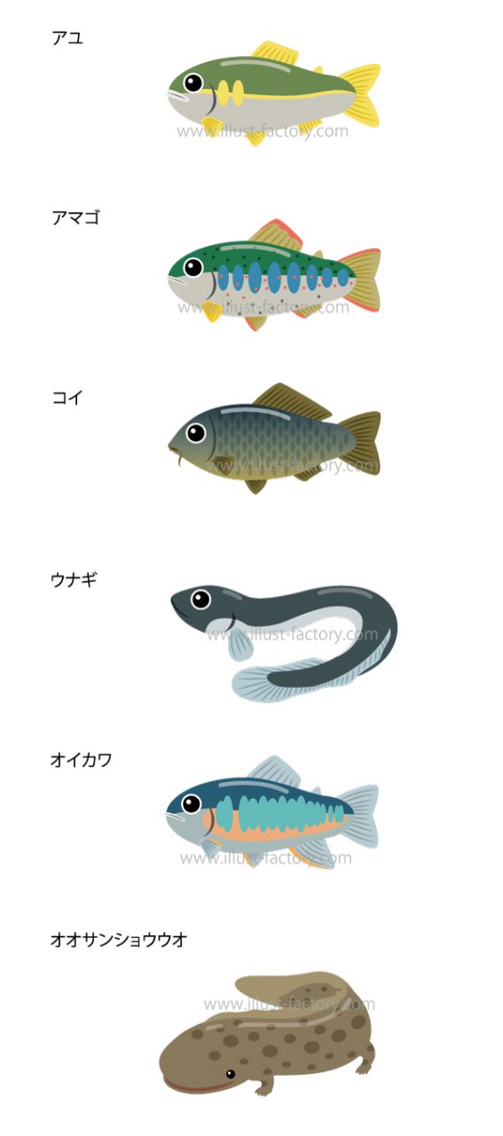 ぷっくりお魚イラスト 可愛いデフォルメタッチ お仕事紹介 質問解決ブログ イラスト制作の株式会社アット