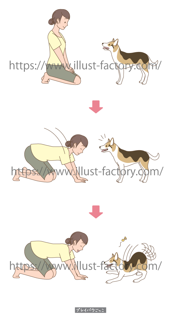 犬のしぐさのイラスト