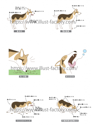 犬のしぐさのイラスト お仕事紹介 質問解決ブログ イラスト制作の株式会社アット