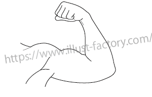 腕の筋肉イラストH226-6