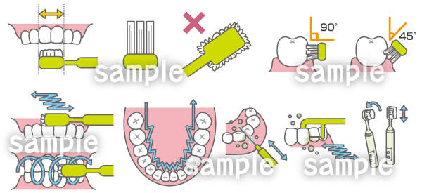 A46-07 歯科　ブラッシング方法の説明イラスト