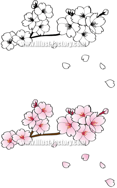 椿 桜 朝顔 コスモス等の花のイラスト制作例 G175 イラスト工房