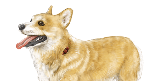 シンプルかわいい 犬のイラスト制作 H100 イラスト工房