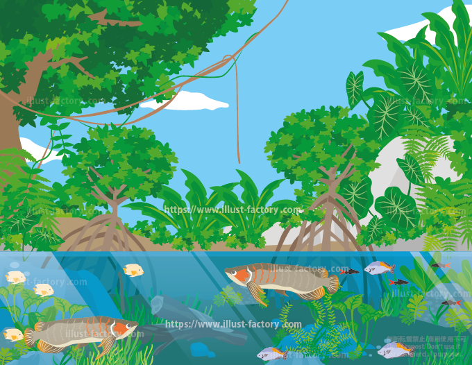 熱帯雨林の淡水魚の展示水槽をイメージしたイラスト H195