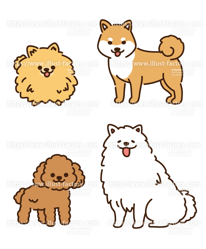 かわいい犬のイラスト制作例　トイプードル・サモエド・芝犬・ポメラニアン　A421